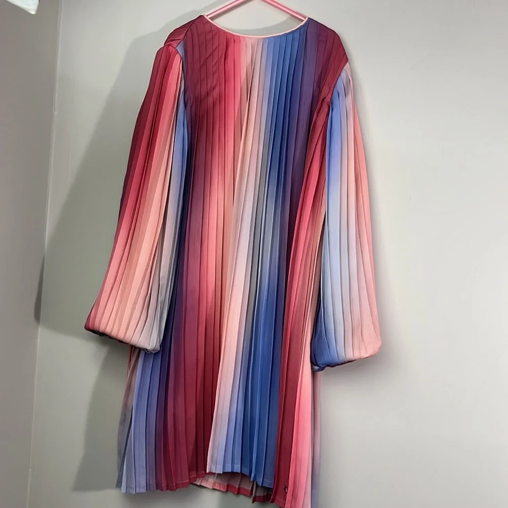 Sonia Rykiel gradient chiffon pleated dress